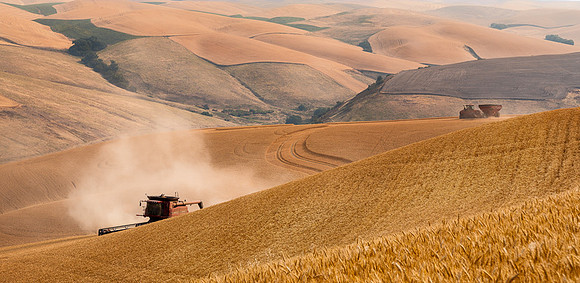 Palouse (48 of 69)