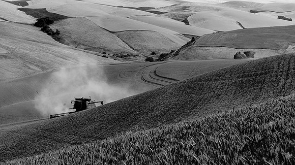 Palouse (49 of 69)