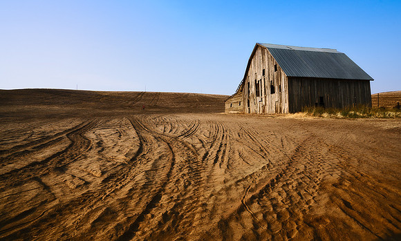 Palouse (1 of 1)