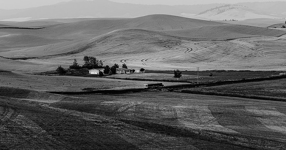 Palouse (57 of 69)