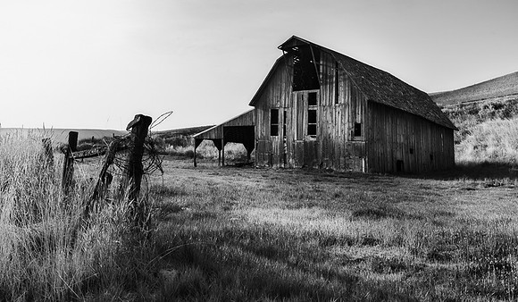 Palouse (61 of 69)