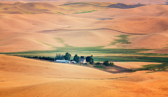 Palouse (1 of 3)