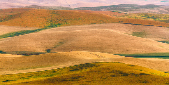 Palouse (2 of 3)