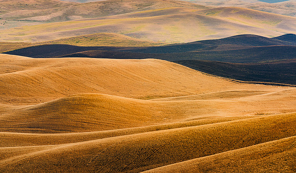 Palouse (3 of 3)
