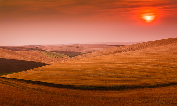 Palouse (3 of 3)