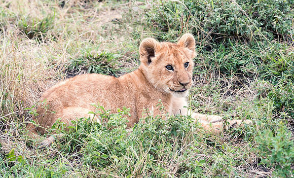 20130919_Kenya_0061