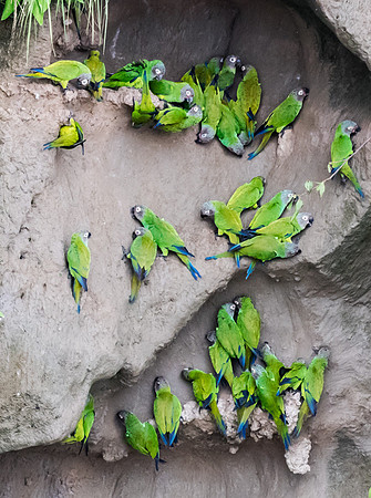 20150117_Ecuador_0012