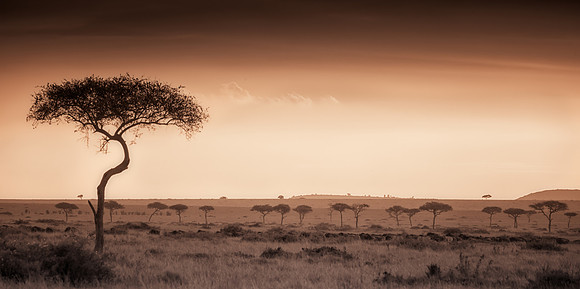 20130919_Kenya_0080