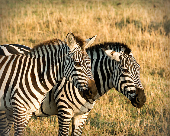 20130917_Kenya_0001-2