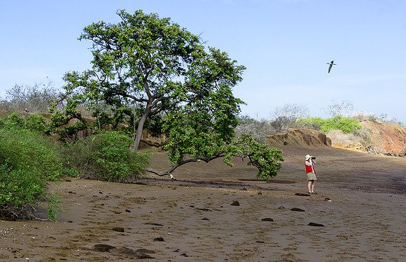 Galapagos