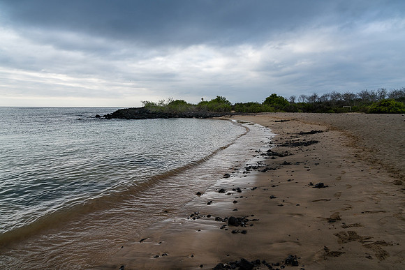 Galapagos