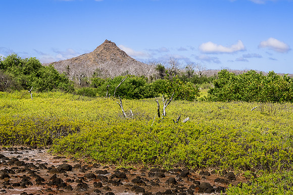 Galapagos