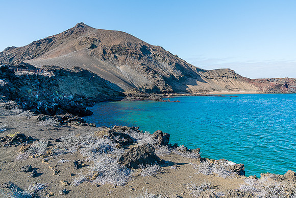 Galapagos