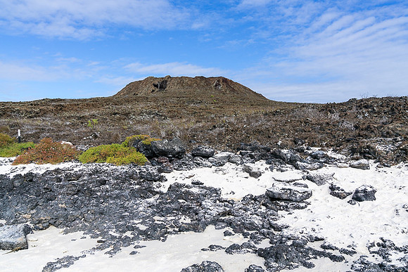 Galapagos