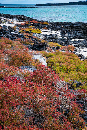 Toronto to Vancouver (79 of 114)