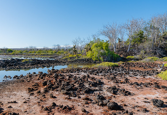 Galapagos