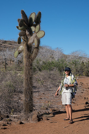 Galapagos