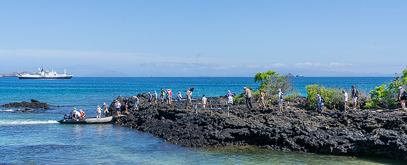 Galapagos
