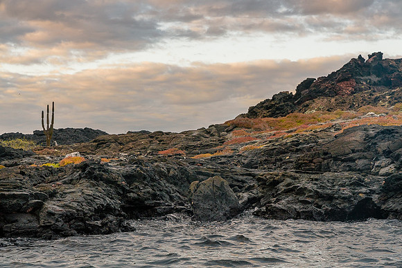 Galapagos