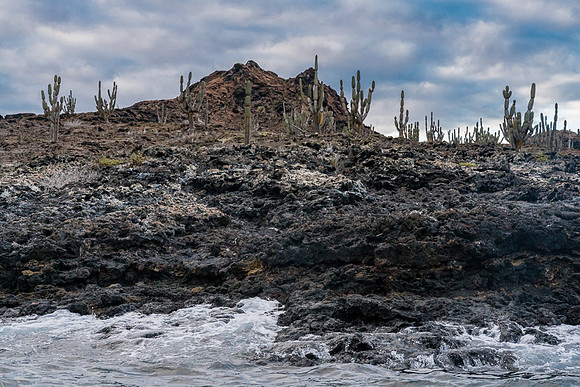 Galapagos