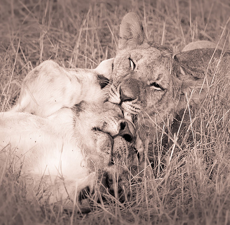 20130913_Kenya_0001