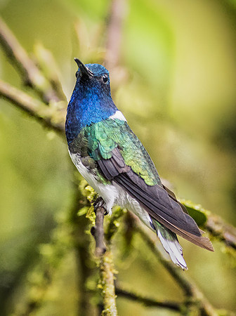 20150107_Ecuador_0003