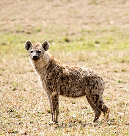 20130917_Kenya_0018