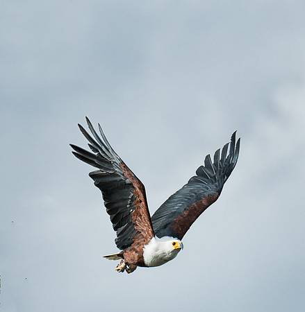 20130912_Kenya_0043
