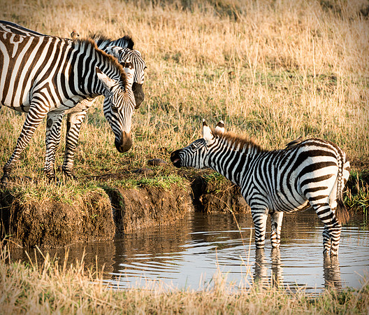 20130917_Kenya_0003