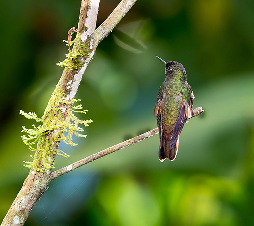 20150106_Ecuador_0007