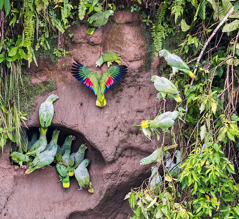 20150117_Ecuador_0006