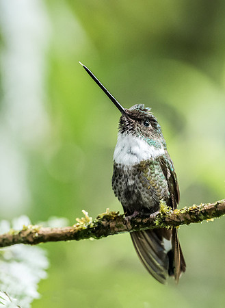 20150110_Ecuador_0004