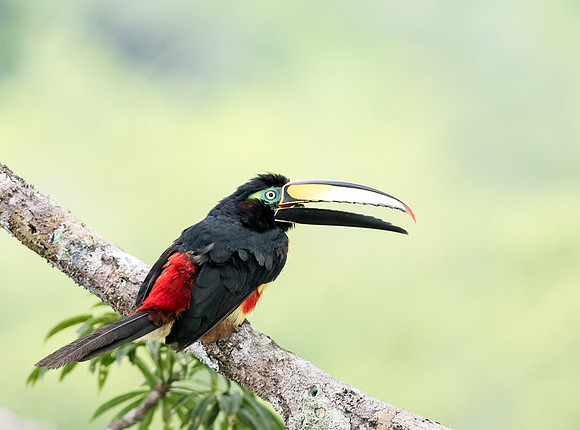 20150118_Ecuador_0015
