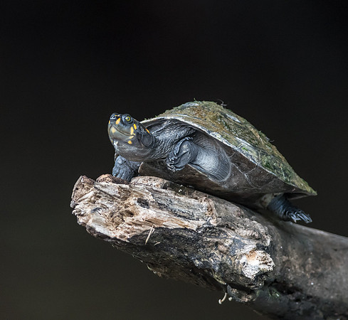 20150118_Ecuador_0021