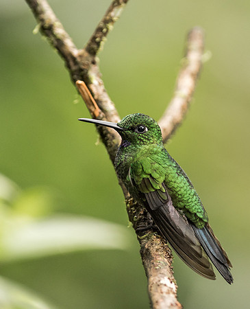 20150107_Ecuador_0001