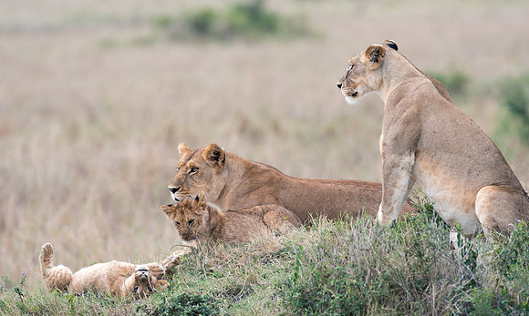 20130919_Kenya_0081