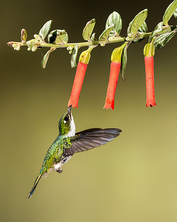 20150106_Ecuador_0006