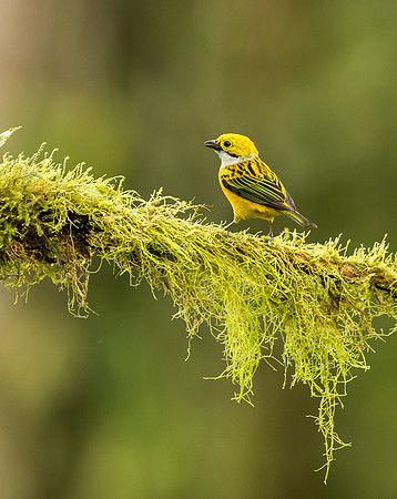 20150107_Ecuador_0001