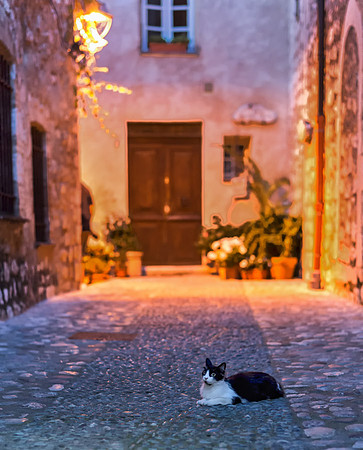 20140623_France_0001