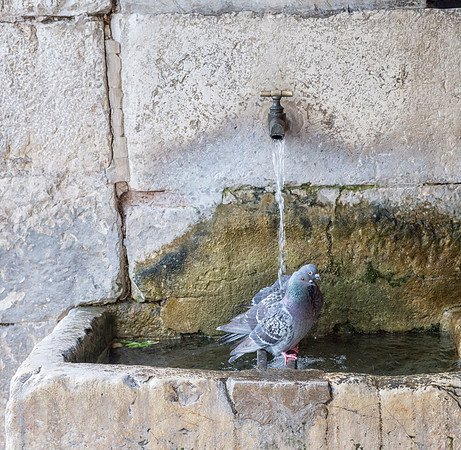 20140623_France_0044