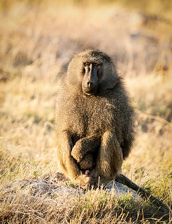 20130909_Kenya_0001-2
