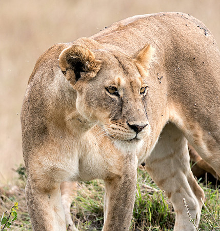 20130919_Kenya_0056
