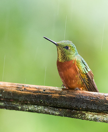 20150109_Ecuador_0002