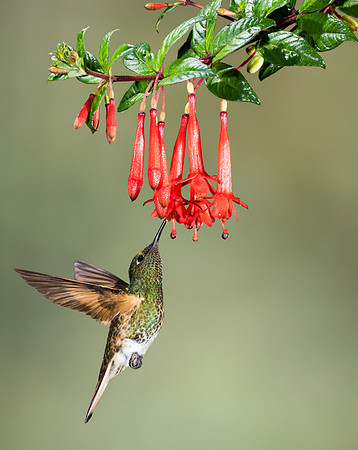 20150110_Ecuador_0024