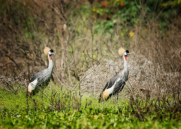 20130912_Kenya_0034
