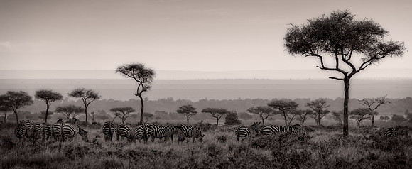 20130920_Kenya_0002