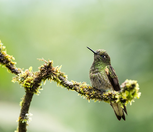 20150110_Ecuador_0015