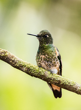 20150107_Ecuador_0001