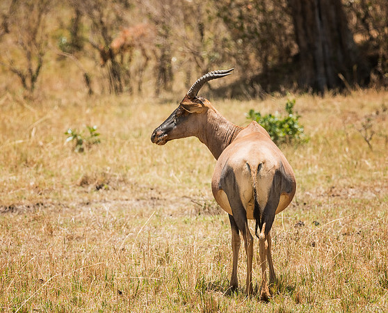 20130913_Kenya_0022