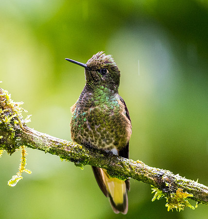 20150110_Ecuador_0014